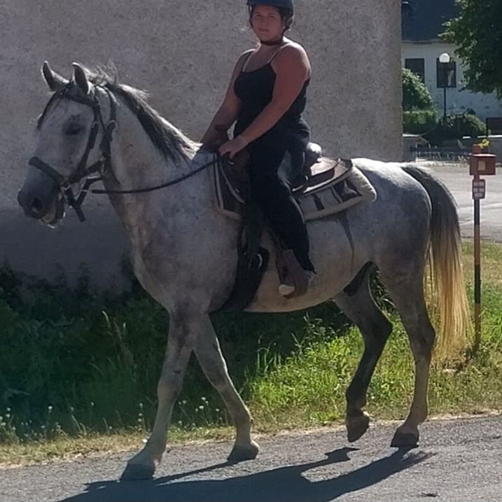 Valach