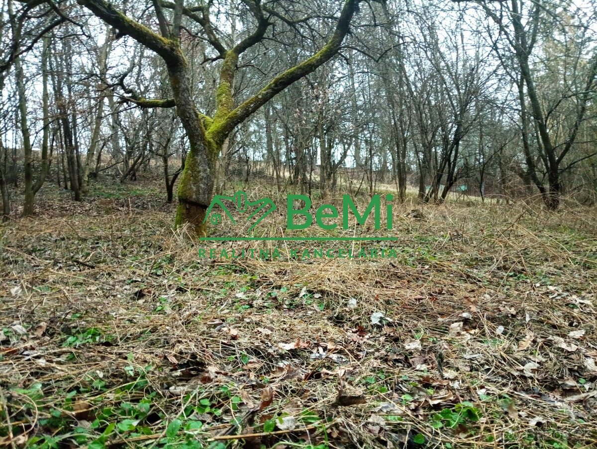 Pozemok na výstavbu chaty v Bardejove pod Vinbargom