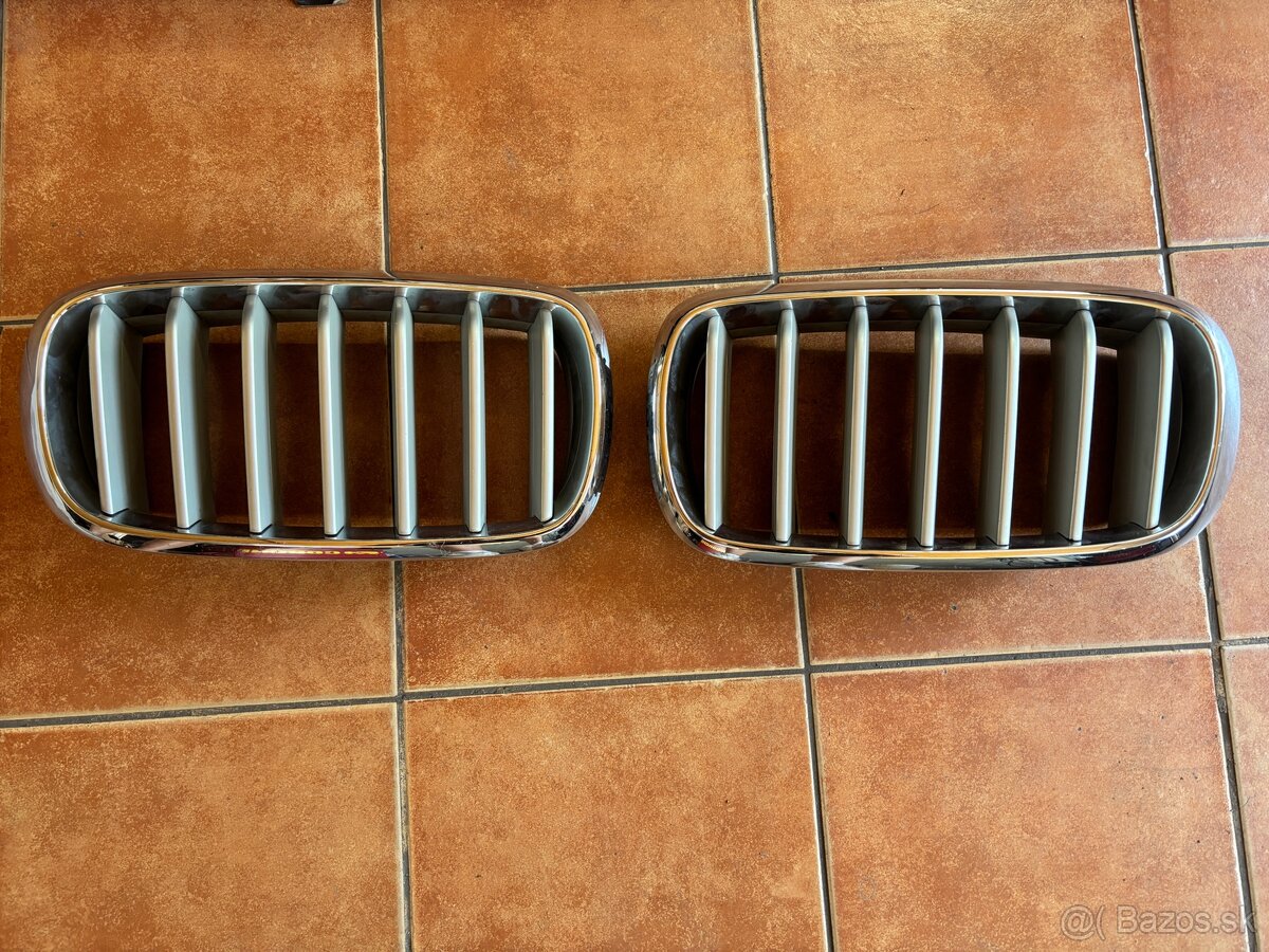 BMW ľadvinky - strieborná (X5 F15/F16)