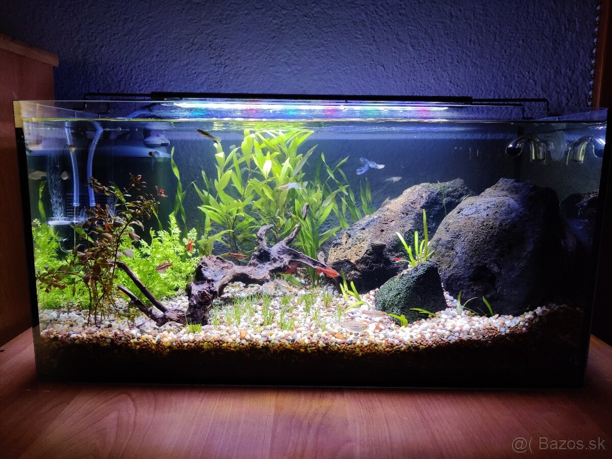 🐠Predám akvárium 60×30×30 cm (54 L) spolu s príslušenstvom