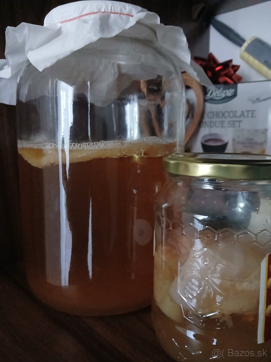 Kombucha