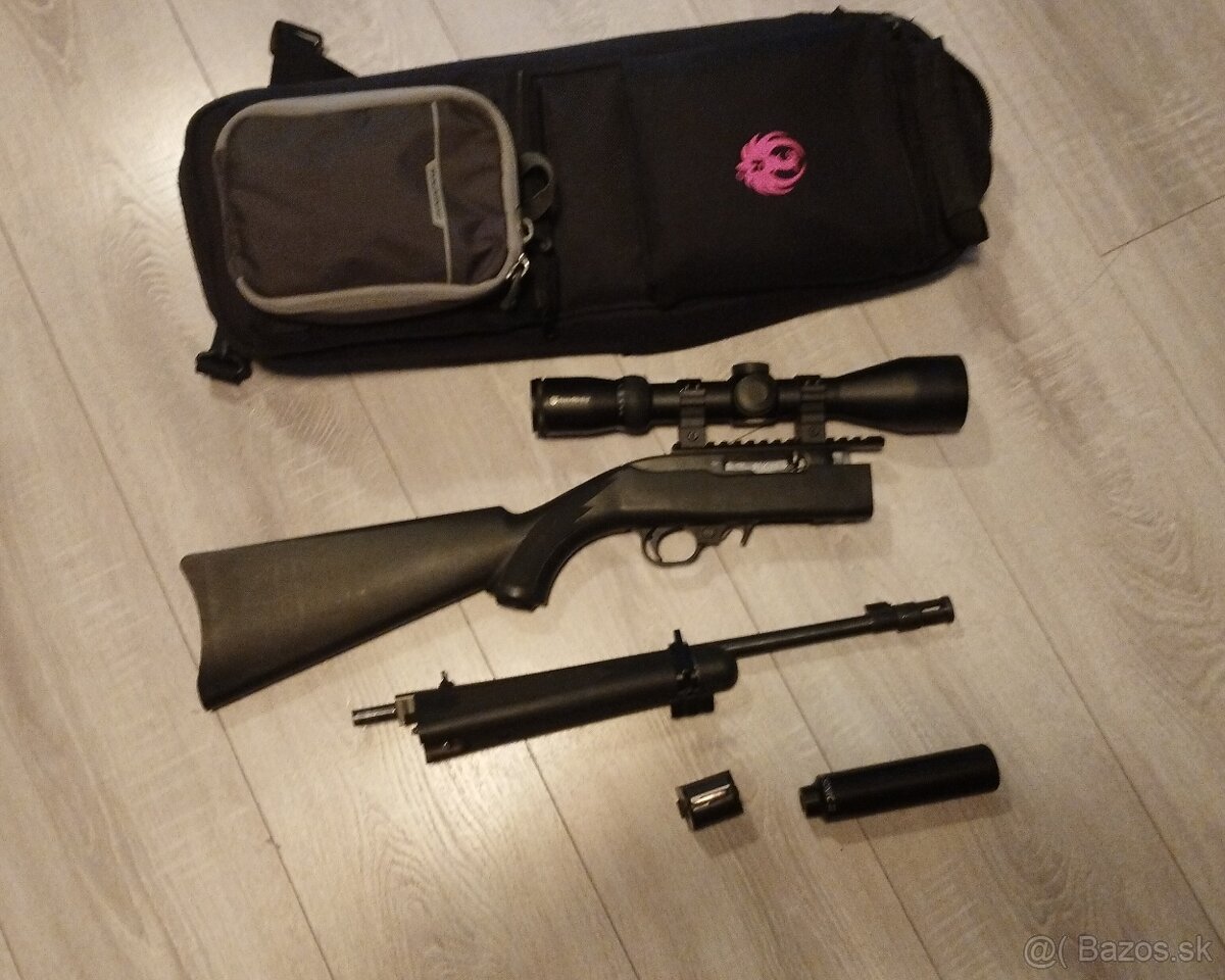 ruger takedown 10/22