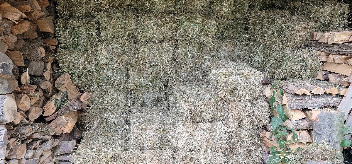 Predám balíkované seno