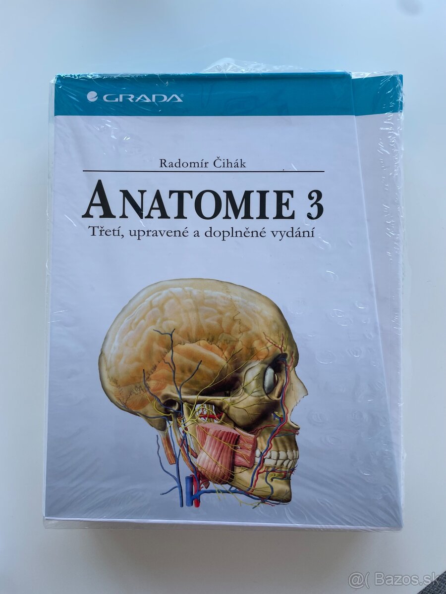 Anatomie 3 - Čihák
