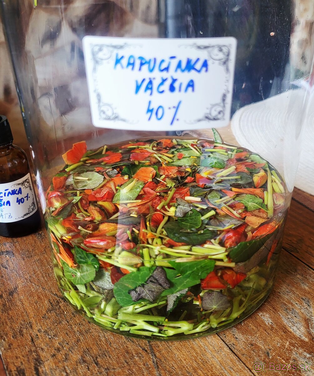 Tinktúra z kapucínky väčšej