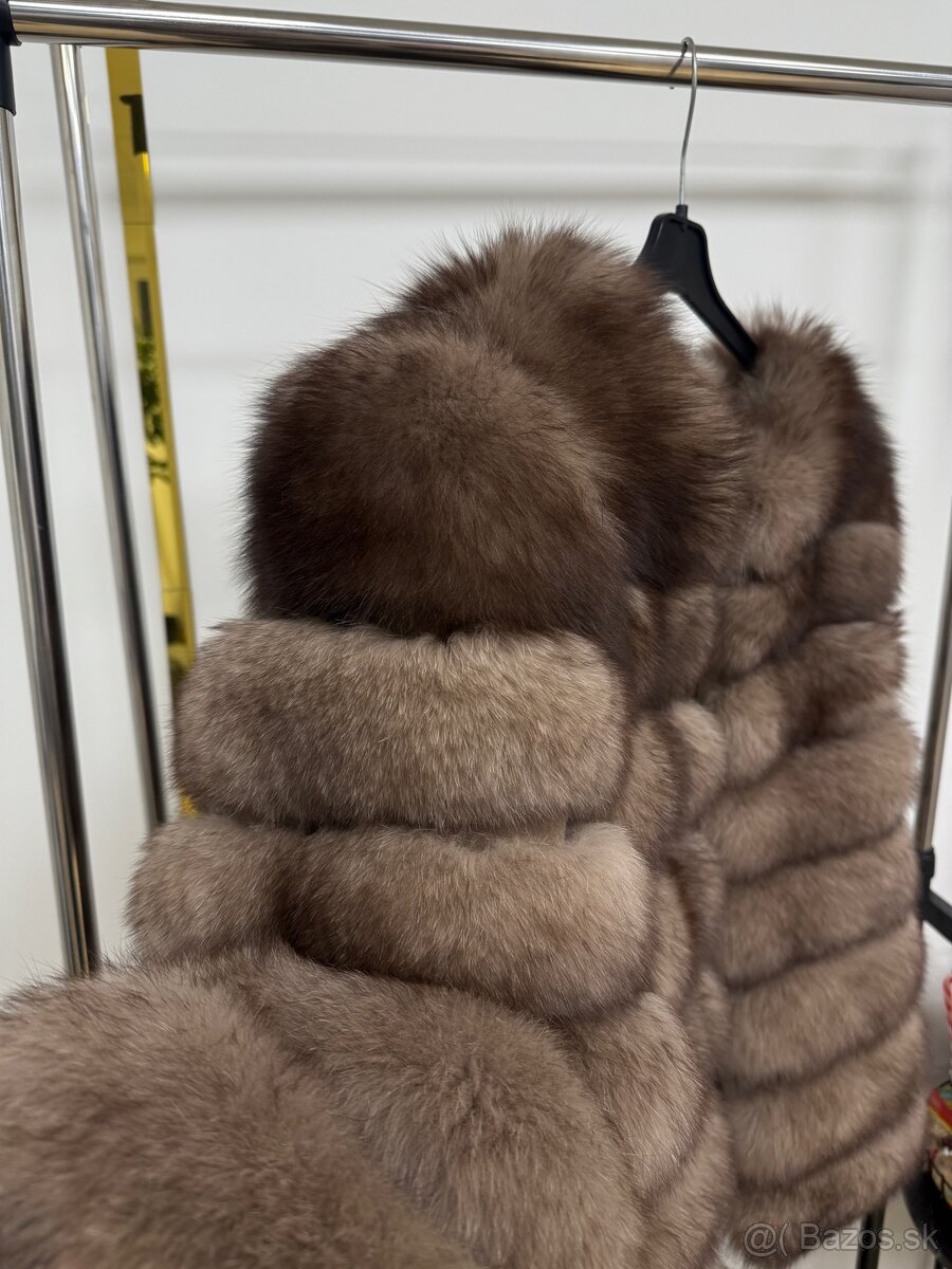 Kozuch polárna liska