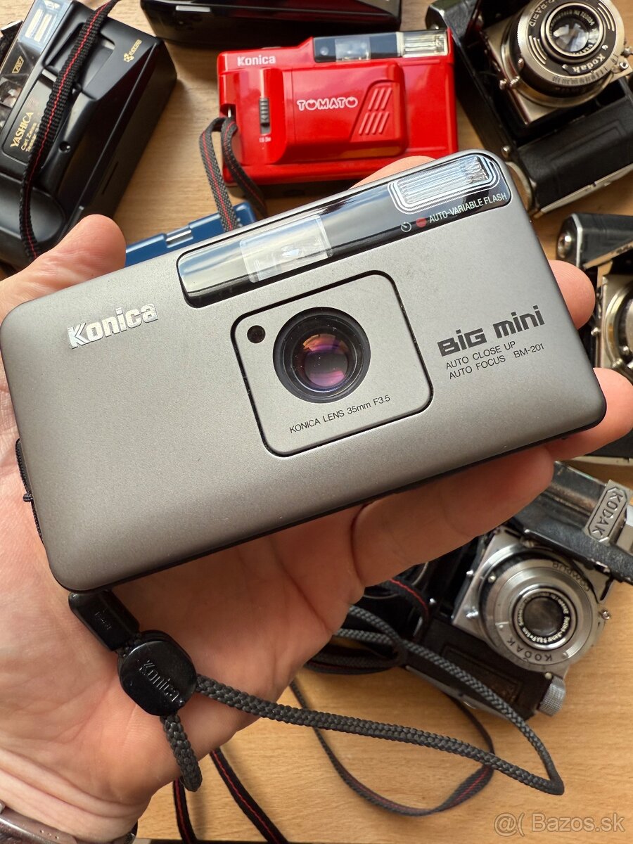 Minolta big mini BM-201