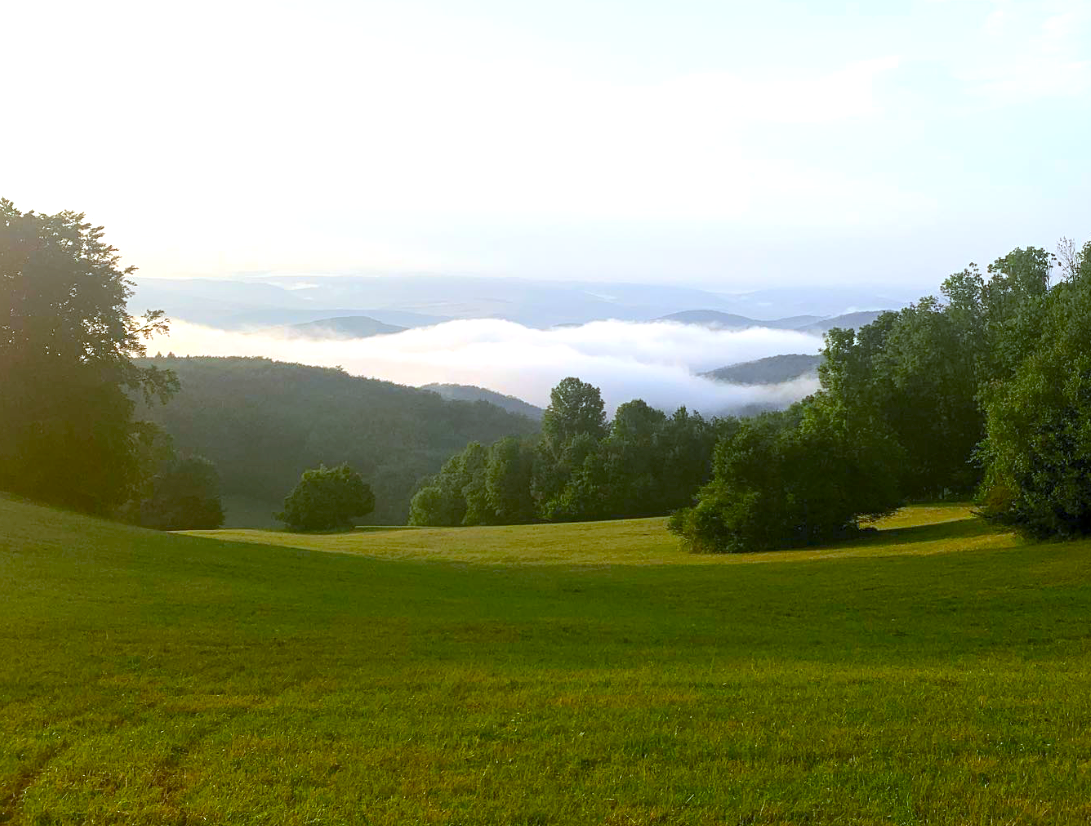 Trenčianske Mitice – 1.870 m2 LES