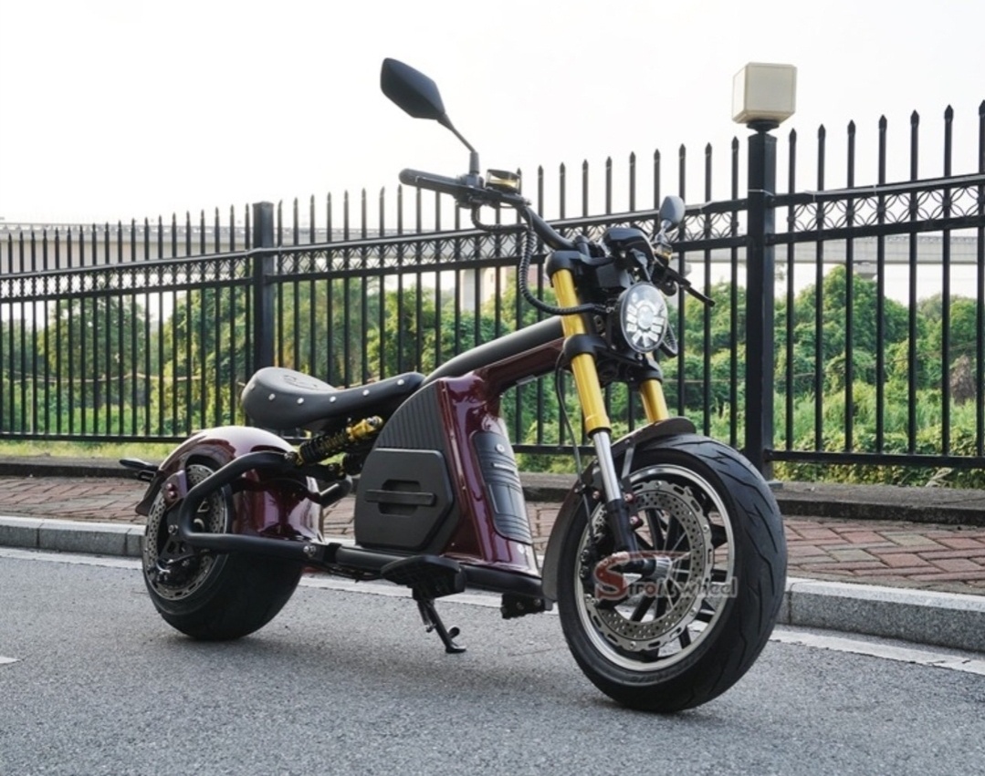 Elektro Eco chopper