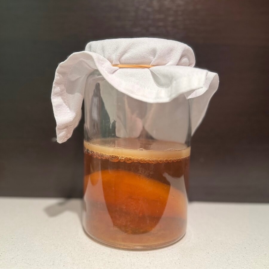 Organická BIO kombucha