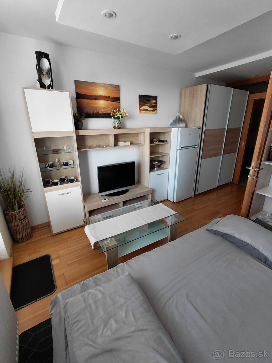 DLHODOBÝ PRENÁJOM / GARSÓNKA / SENICA /