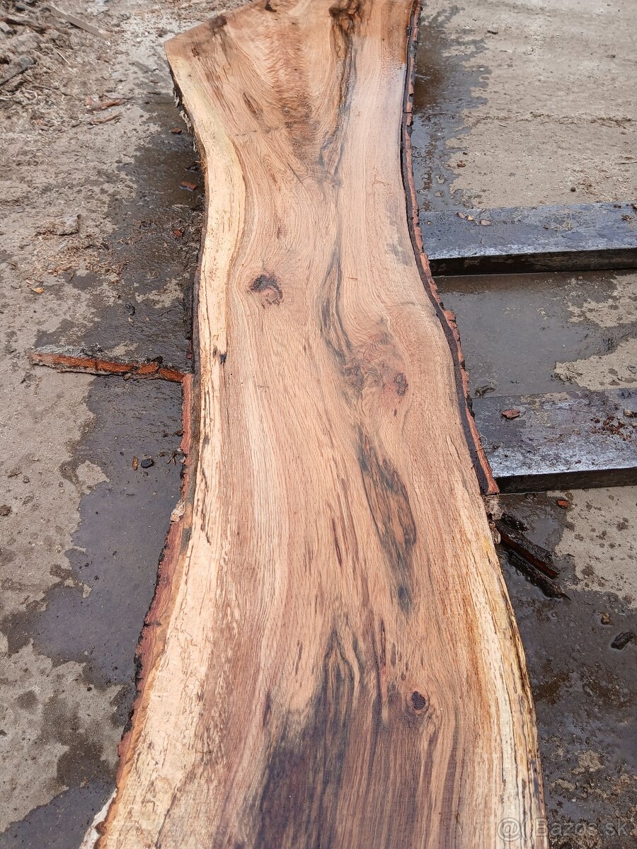 Dubove bukové fosne lacno