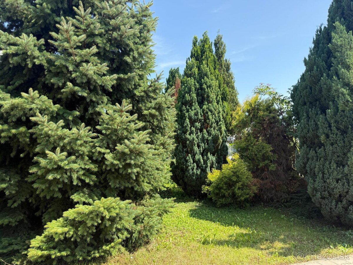 Predaj stavebného 8-árového pozemku v Seredi