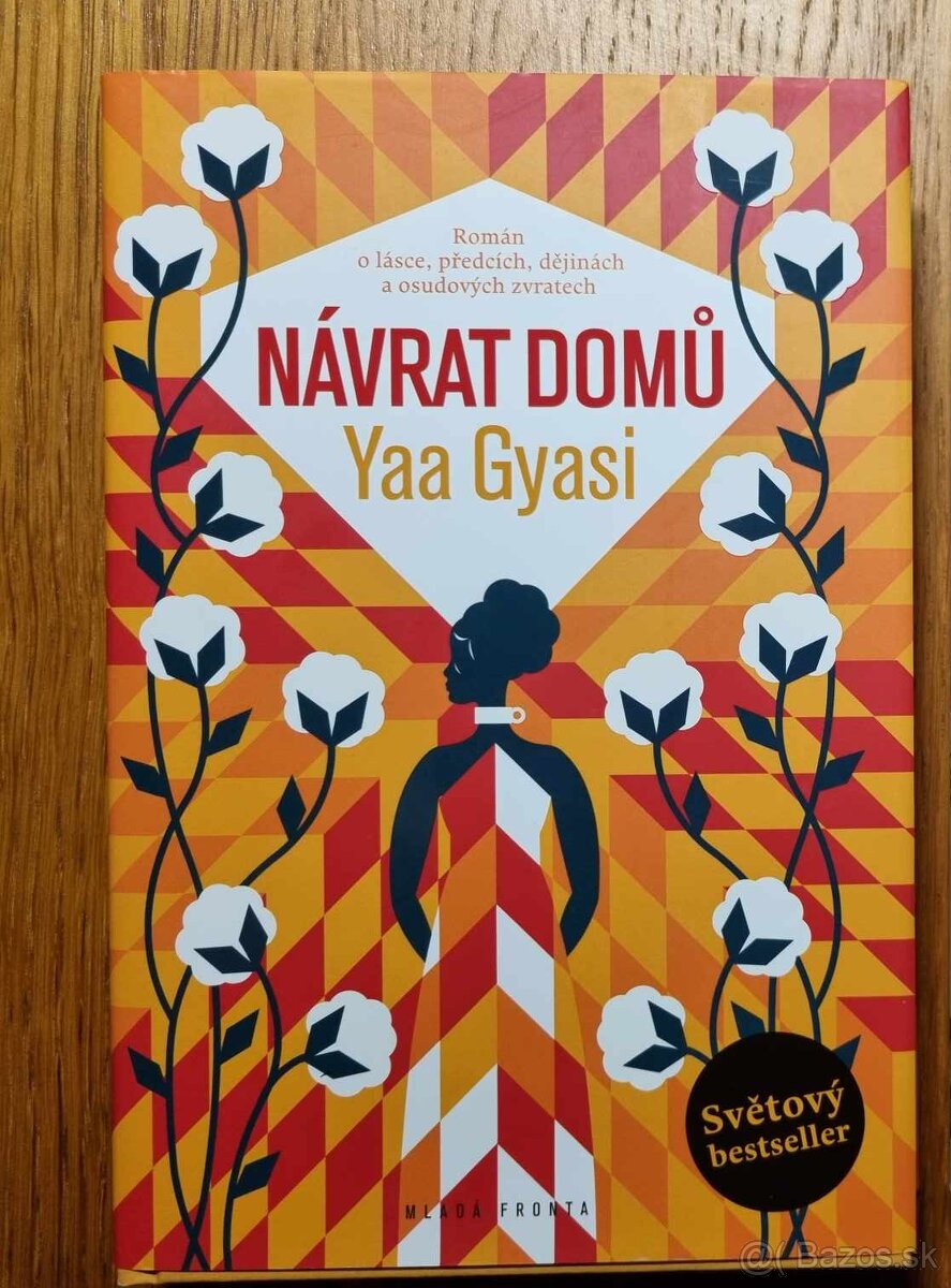 Yaa Gyasi: Návrat domů
