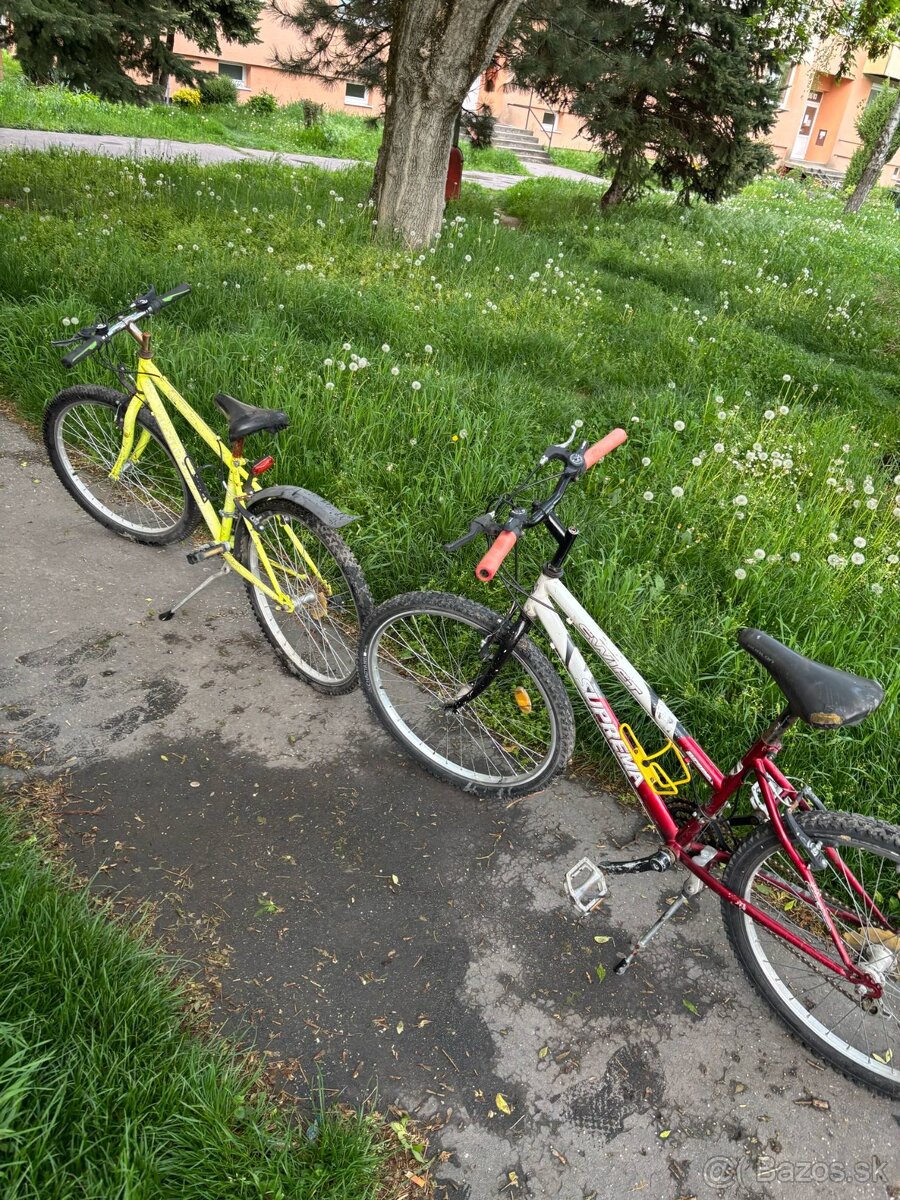 Darujem