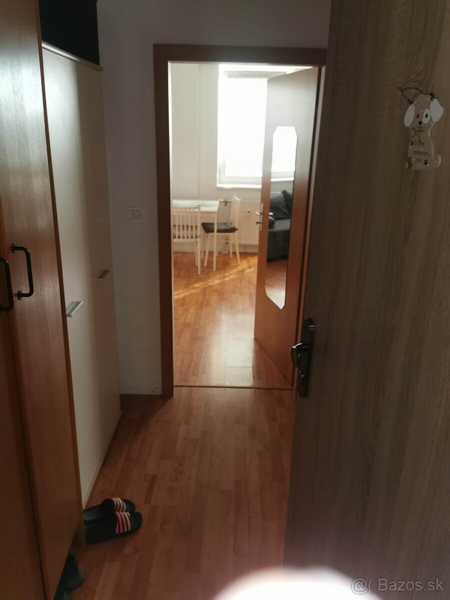 1 izbový byt