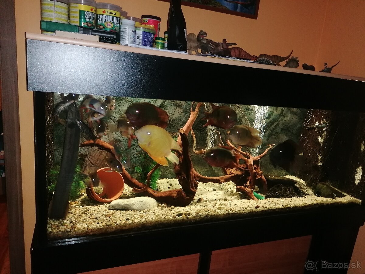 Akvarium