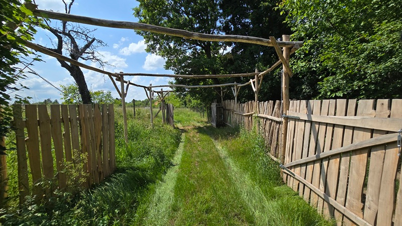Krásny pozemok s vinicou v Jabloňovciach o výmere 9585 m2