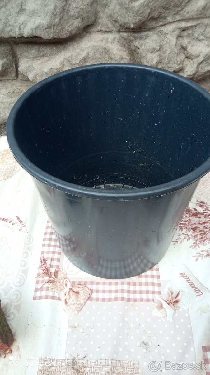 VEDRO