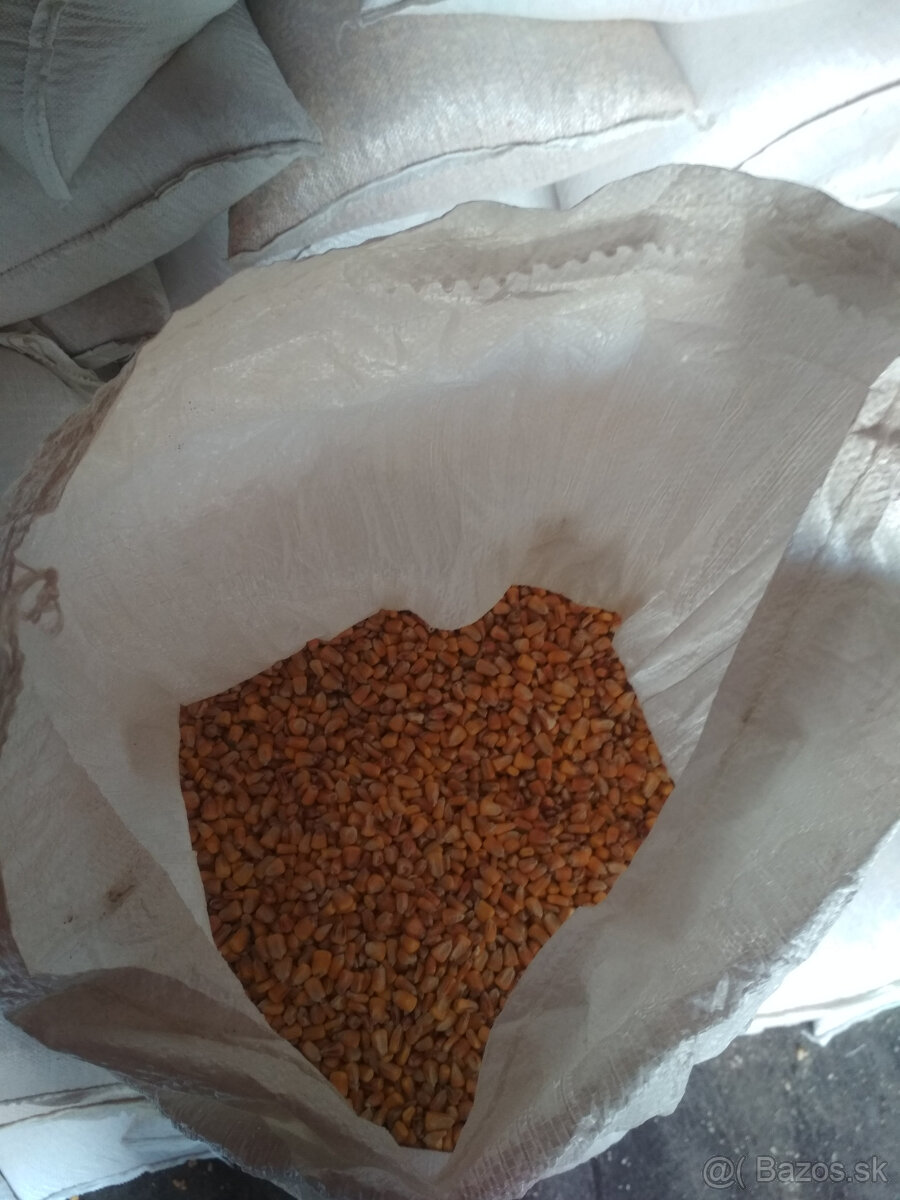 kukurica psenica slnecnica zmeska pre nosnice