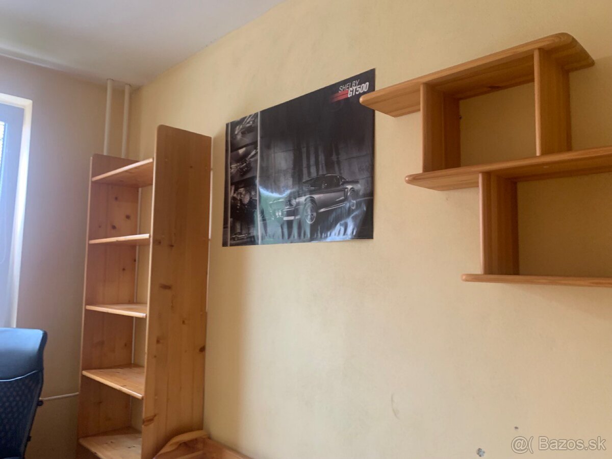 Prenajom izby v 3i byte