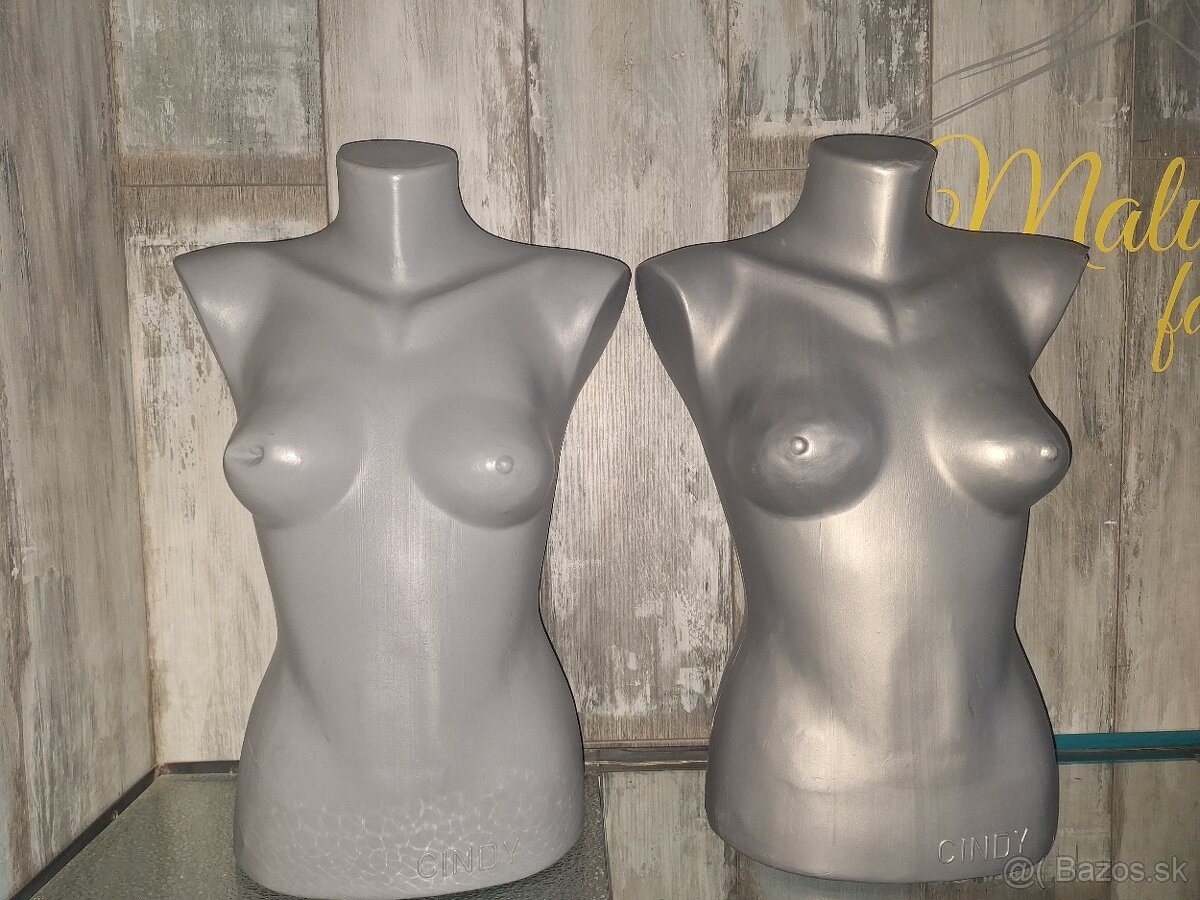 Busty zo zrušenej predajne