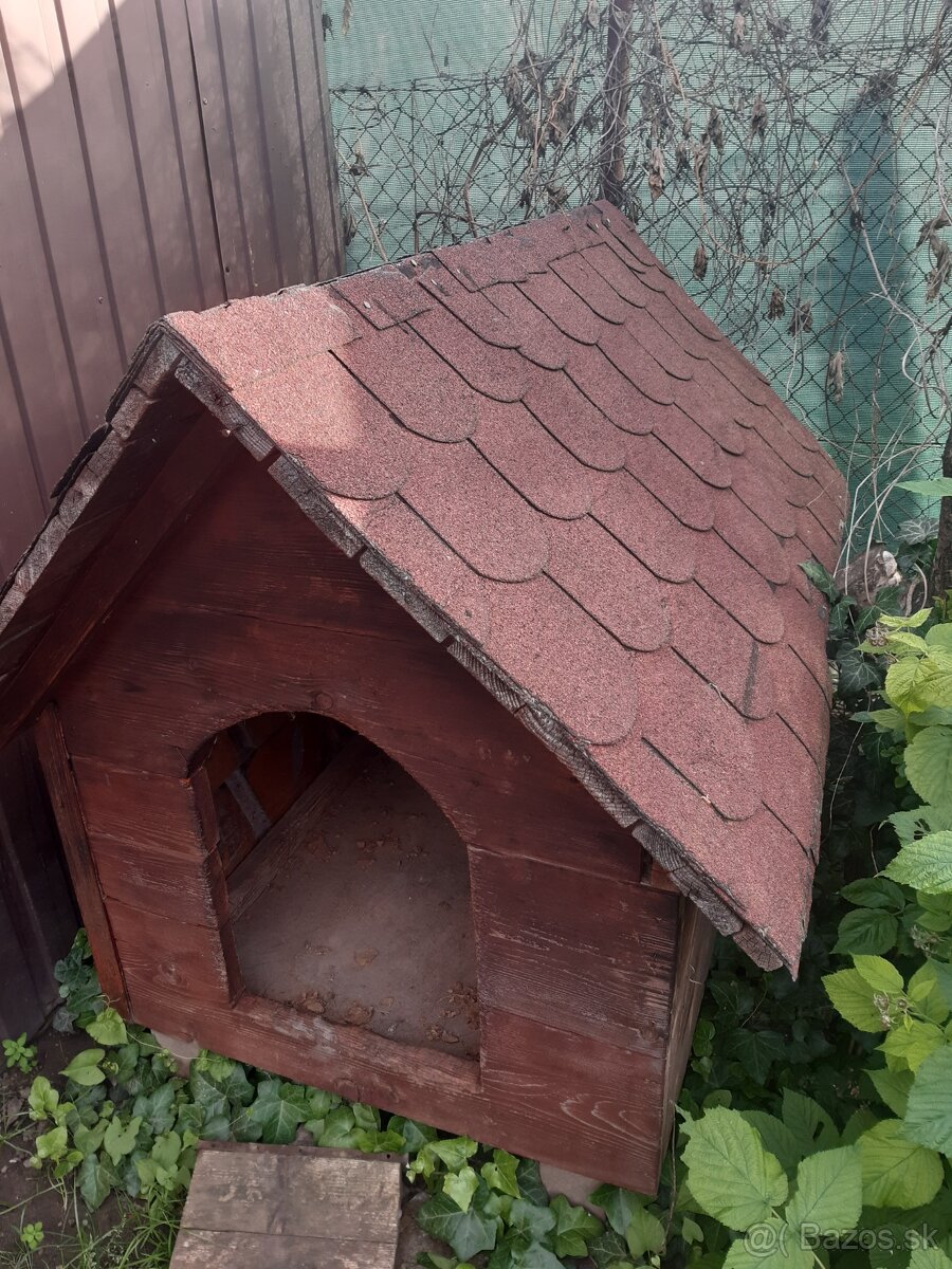 Psia búda