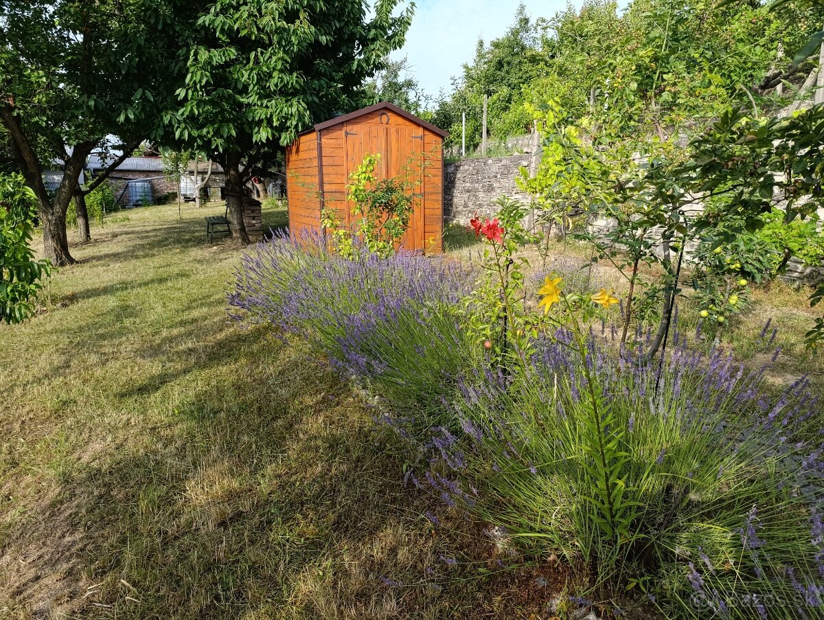Predaj záhrady v Holíči - Pod Zadnou horou