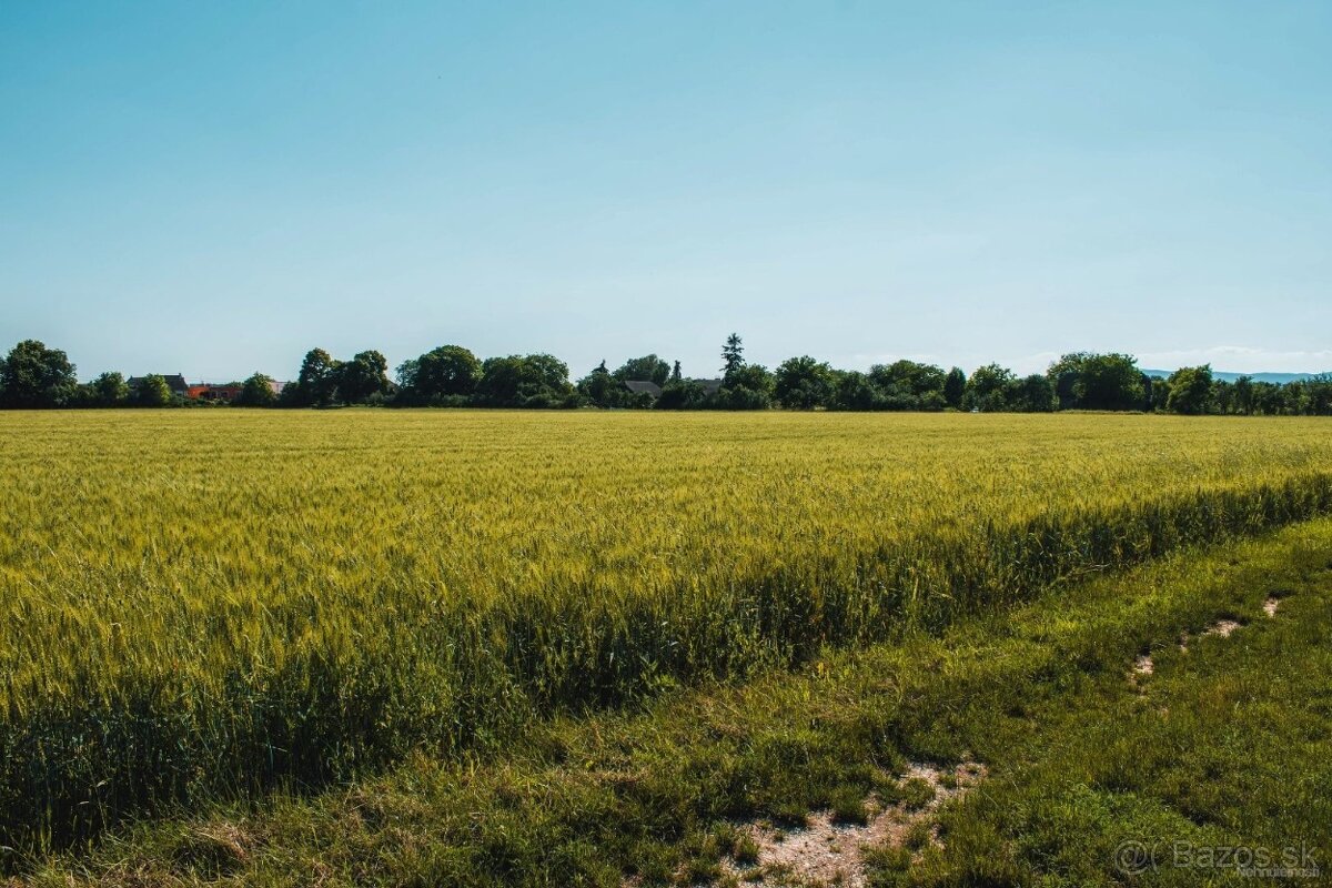 Výrava – Podiely na poľnohospodárskej pôde