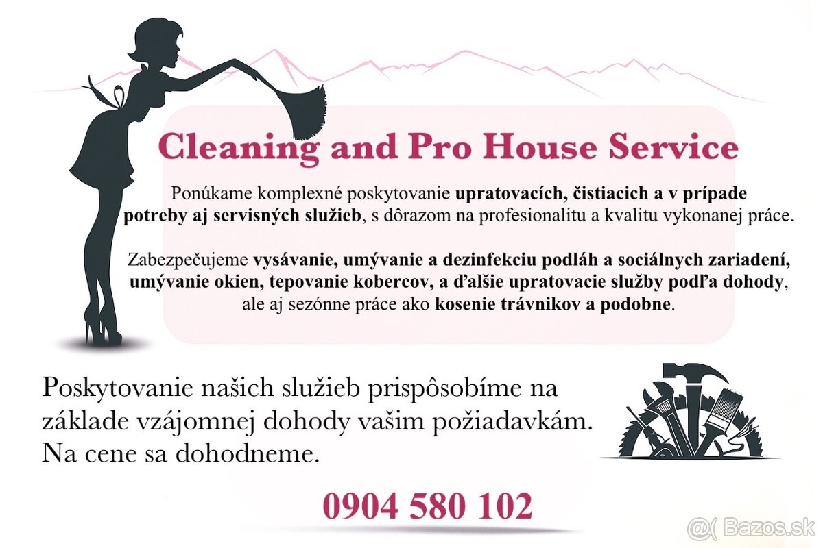 Cleaning and Pro House Service