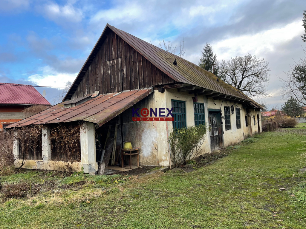 Dva staršie domy s veľkým pozemkom pri centre Michaloviec.