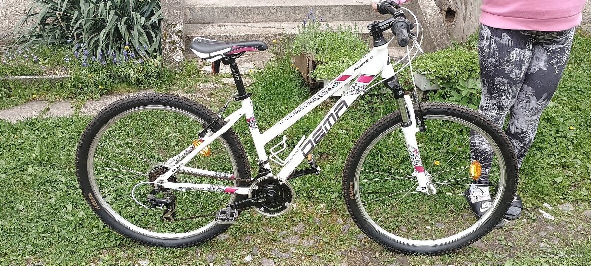 Dema Pegas 1.0