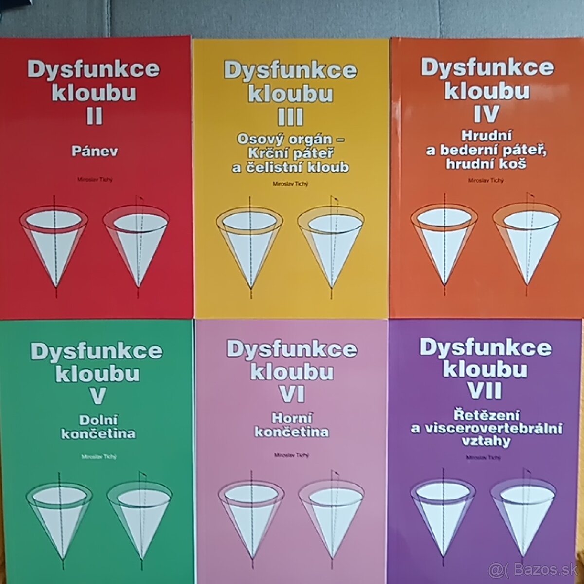 Miroslav Tichý Dysfunkce kloubu - fyzioterapie.