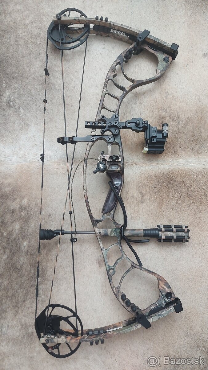 Hoyt kladkovy luk