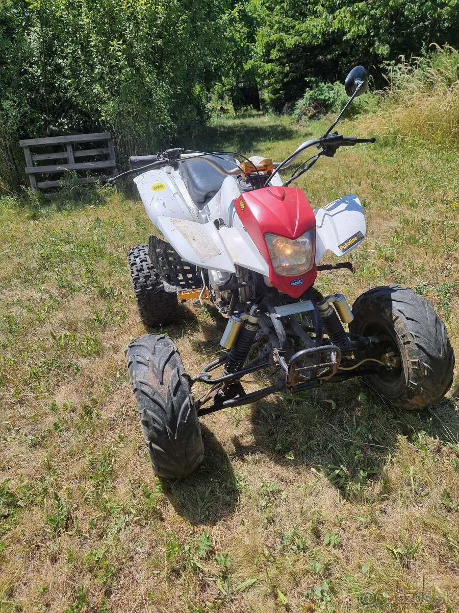 Predam Bashan 250cc