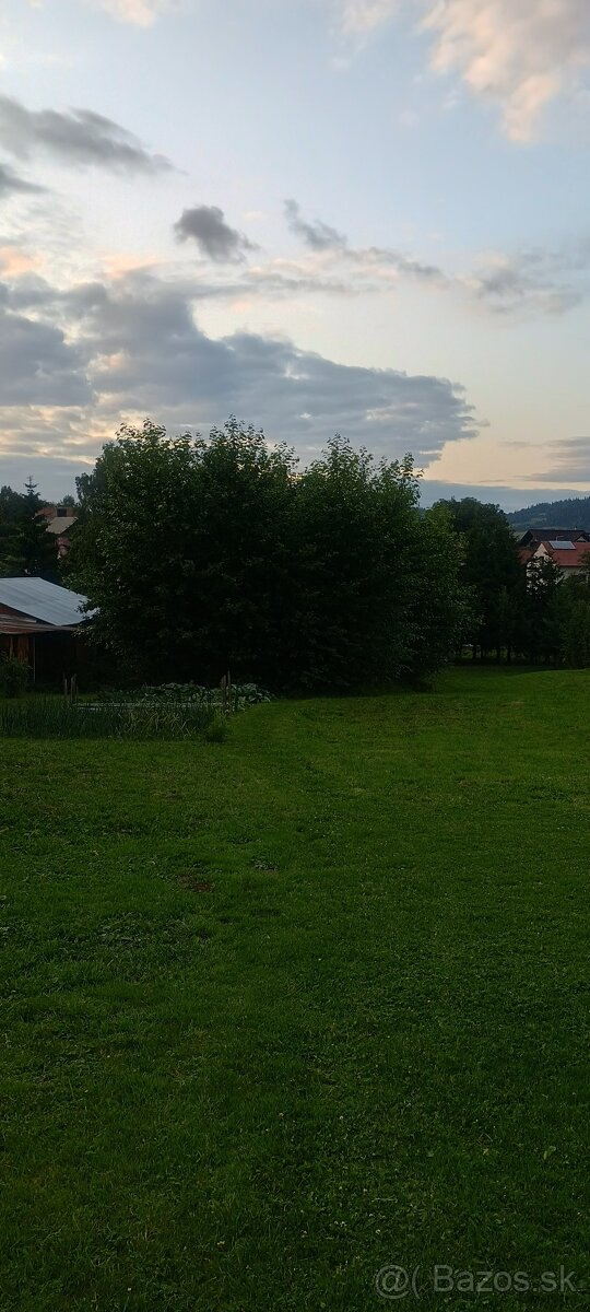 Palivové drevo  štiepka , palivo  japonský topol,