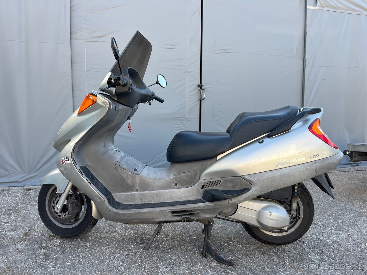 Skuter honda panteón