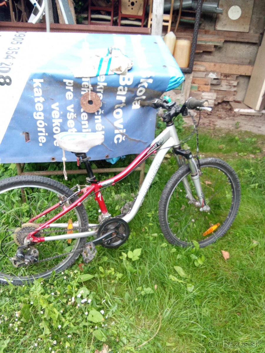 Bicykel
