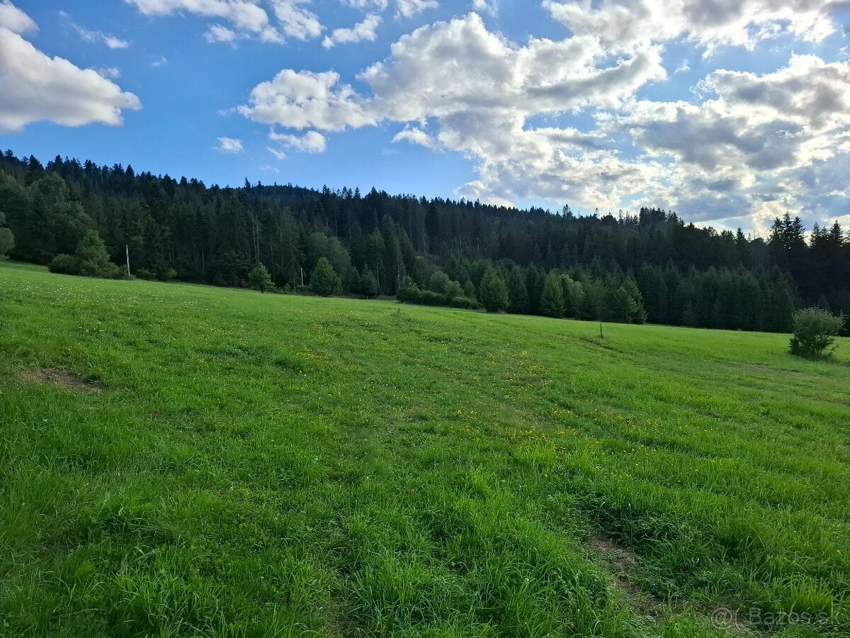 Predám pozemky Čadca U Butov
