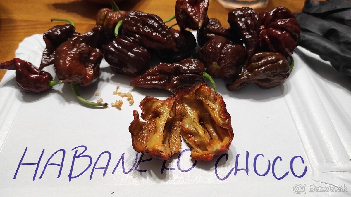 Habanero choco