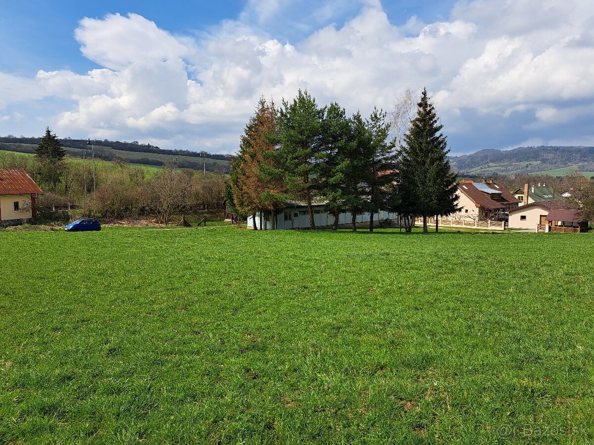 reštitučný nárok