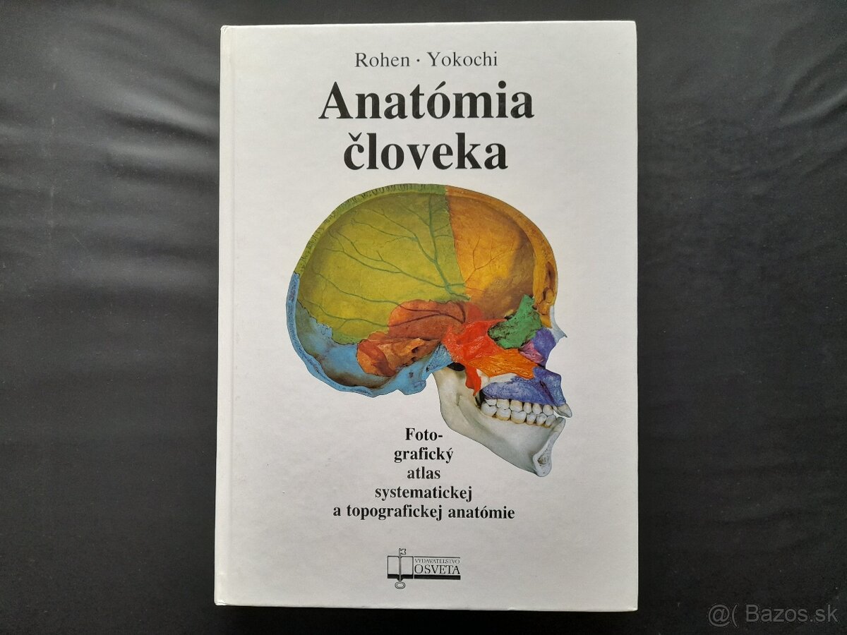 Anatómia človeka