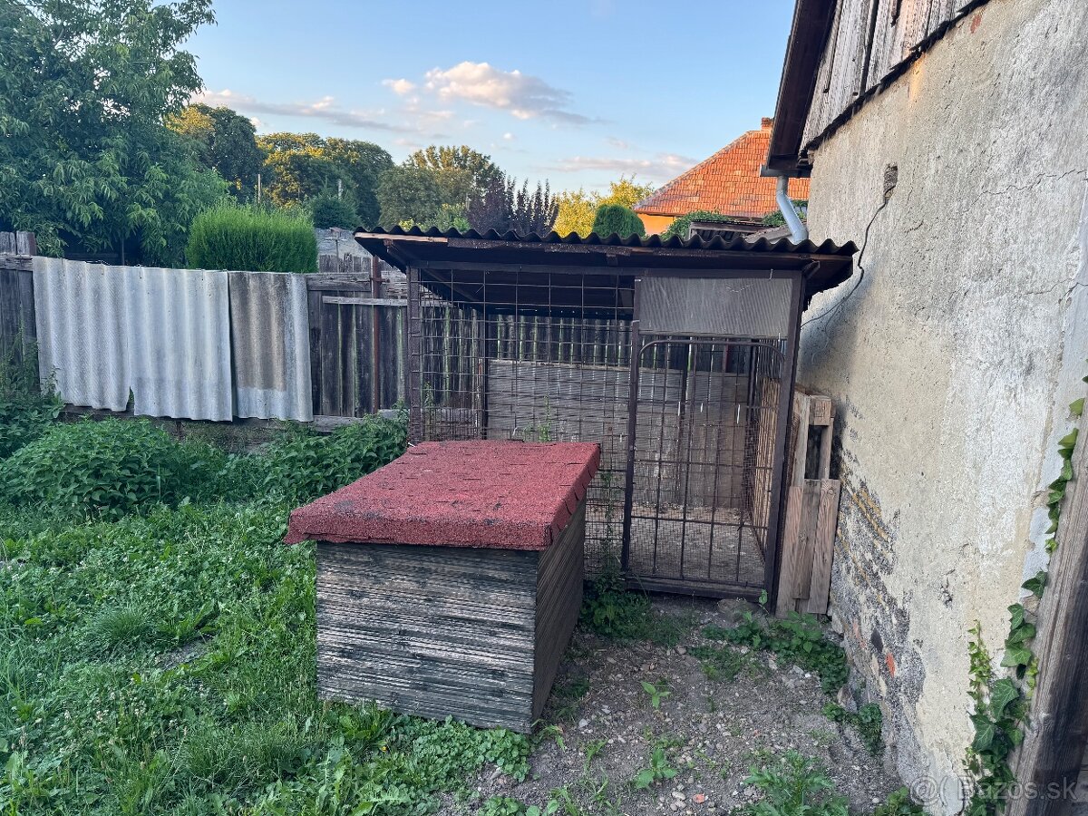 Voliera + psia buda