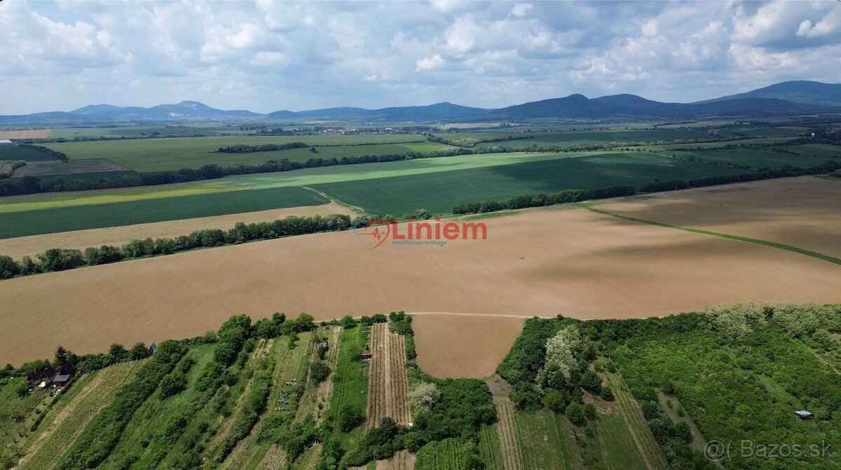 Predaj vinice a pozemku pri Zlatých Moravciach – Dolné Vinic