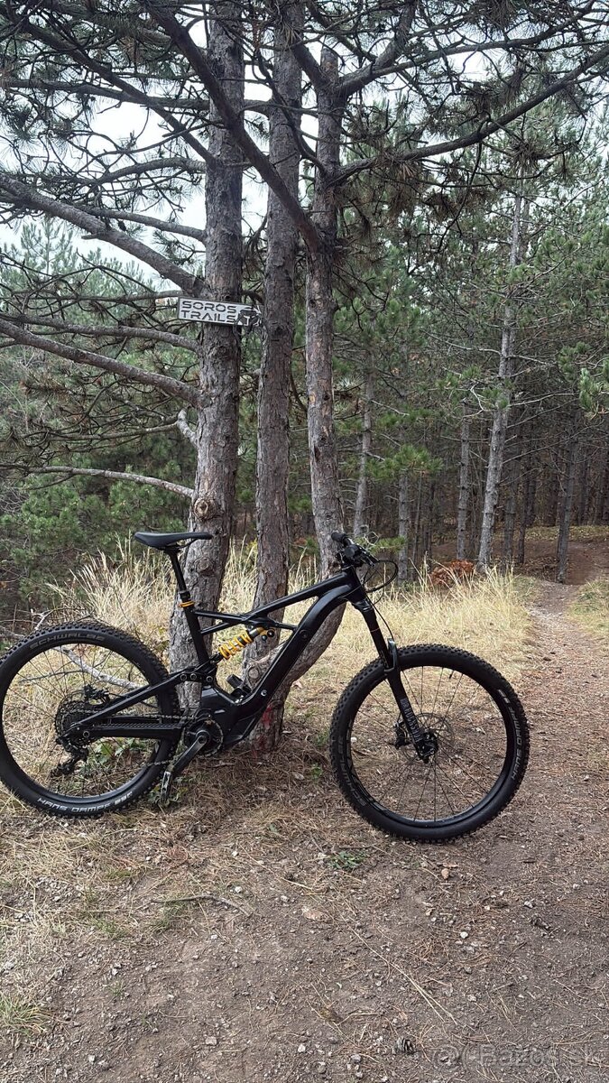 Specialized Turbo Kenevo 2019