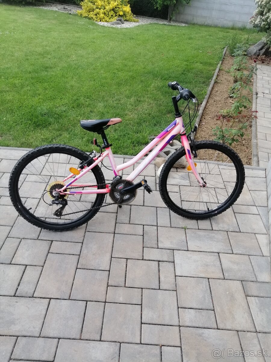 Horský bicykel