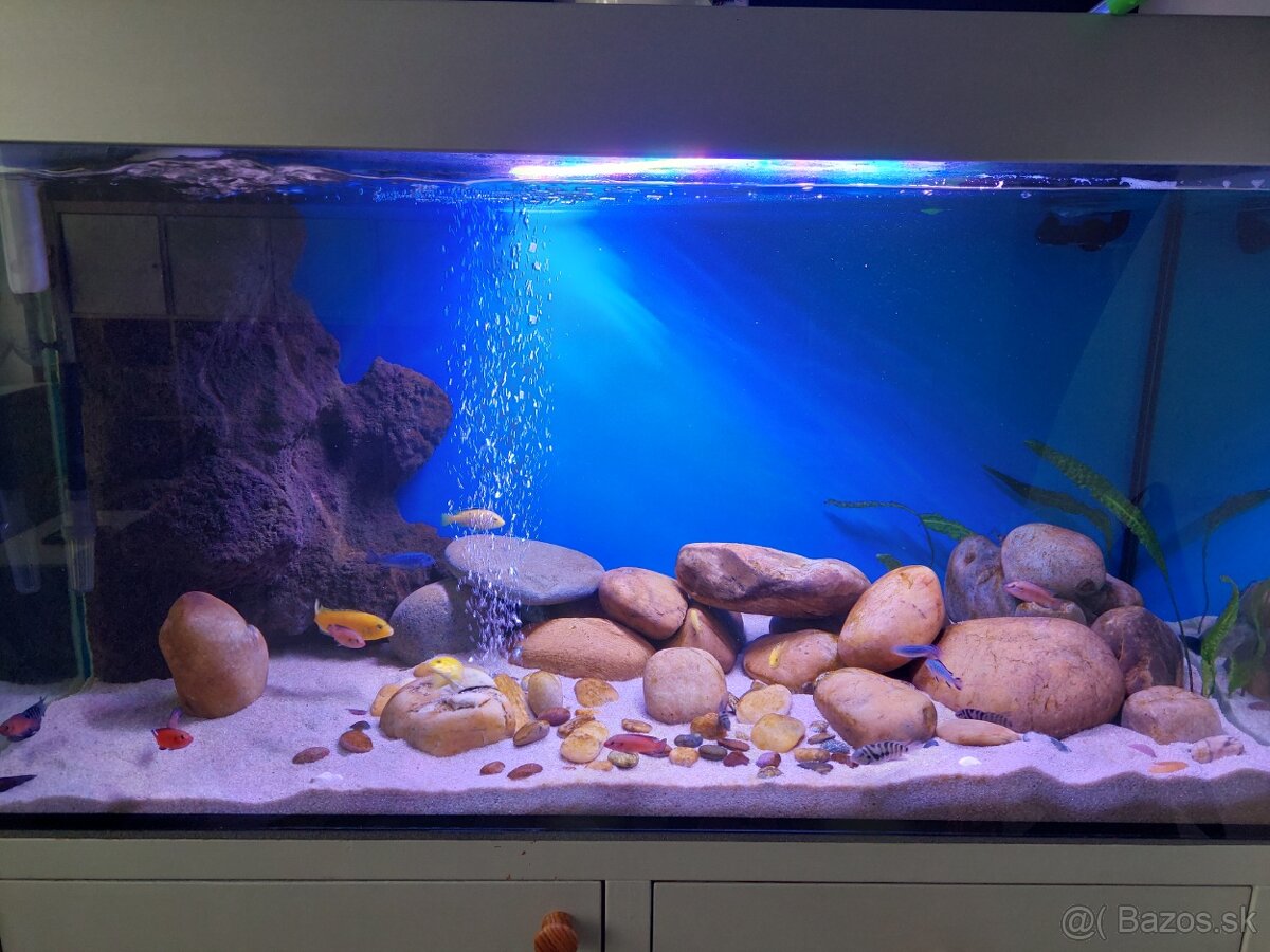 Akvarium+skrinka 360l