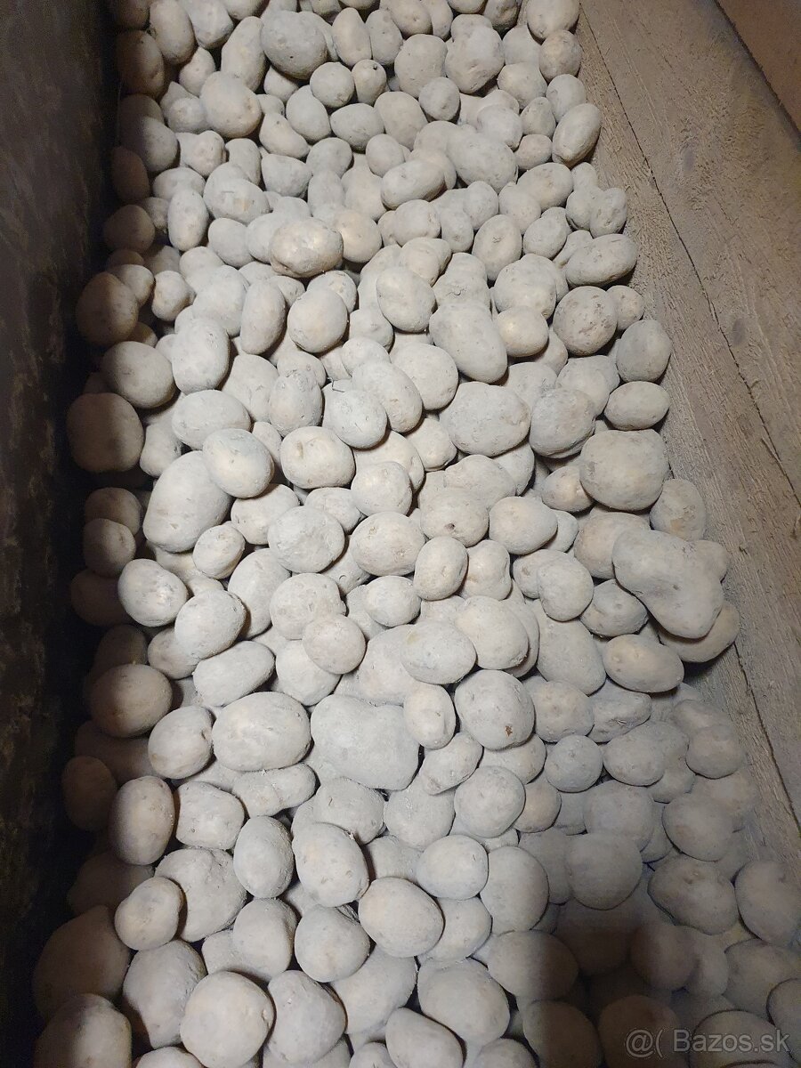 Konzumne zemiaky