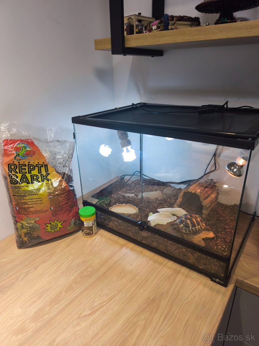 Korytnačka + terarium