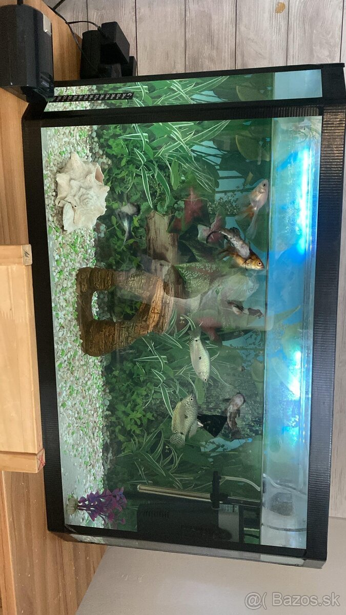 Predam akvarium
